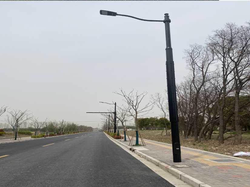 嘉禾县上海综合杆 太阳能路灯工程